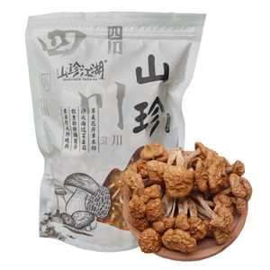 石渠县 高原珍珠菌158克山珍干货菌子煲汤食材